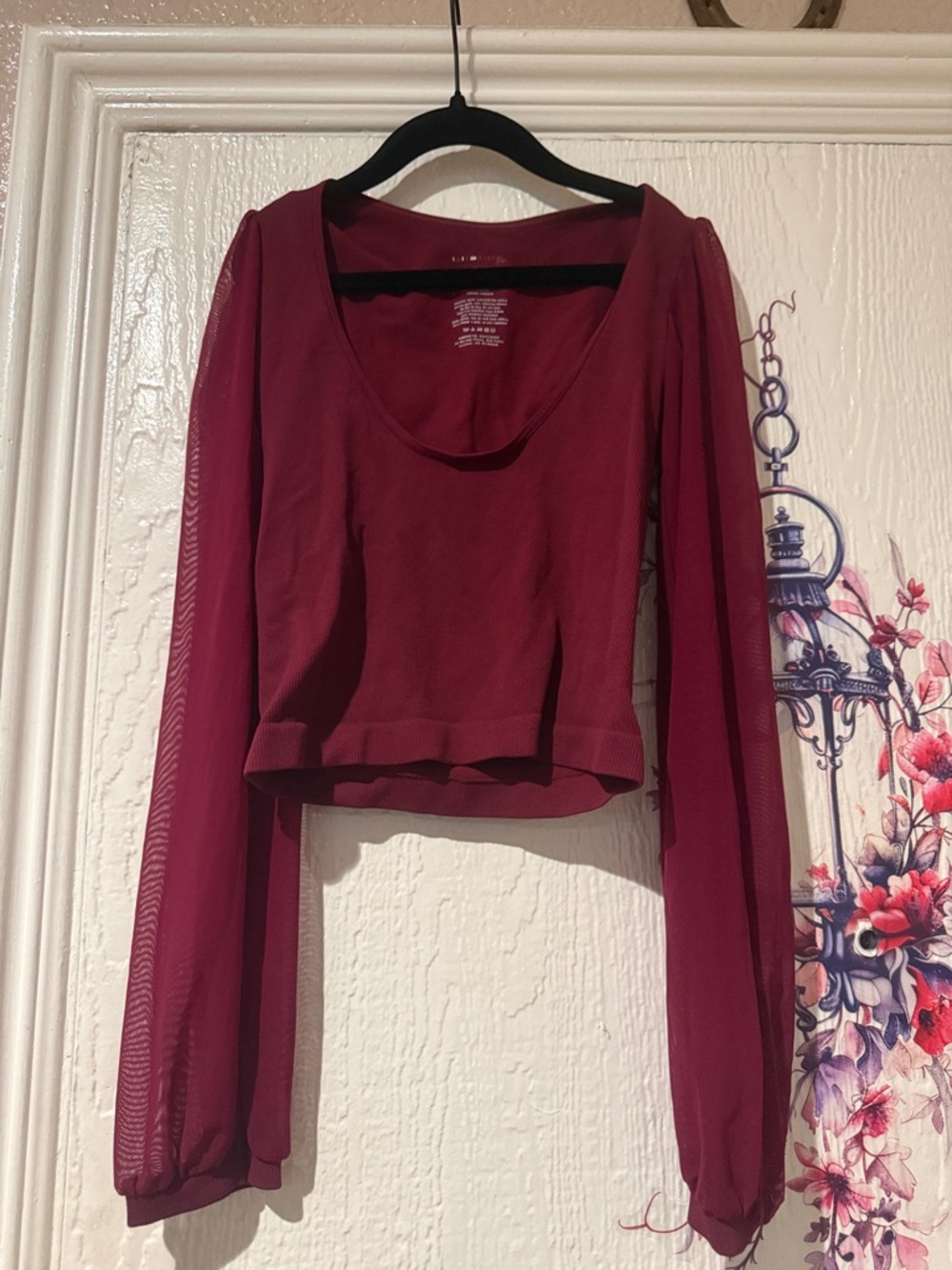 Sheer Sleeve Cropped Top in Burgundy